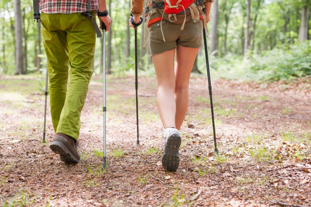 Trekking poles